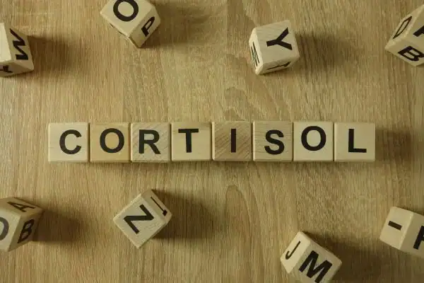 The Hidden Connection: How Stress Shapes Your Fitness and Body Composition 2 Image saying "Cortisol" and how stress Dunstable impacts your wellbeing and bodies shape